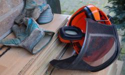 Featured image of post Geschafft! Geflüchtete in Arbeit