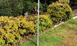 Featured image of post Luftqualität in Deutschland wird immer besser